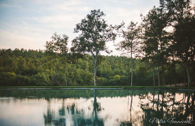 Agriturismo San Galgano - Foto 25