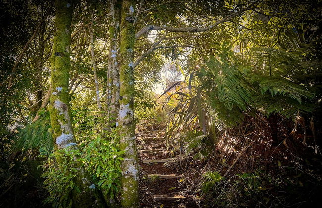 Te Tiro Accommodation - Foto 48