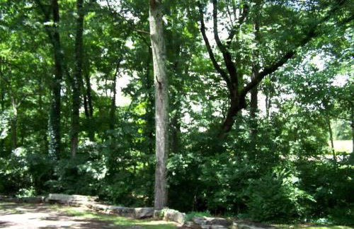 Cozy Backstage Tiny House Near Old Hickory Lake – Pet-Friendly, Private Deck, Breakfast Included - Photo 14