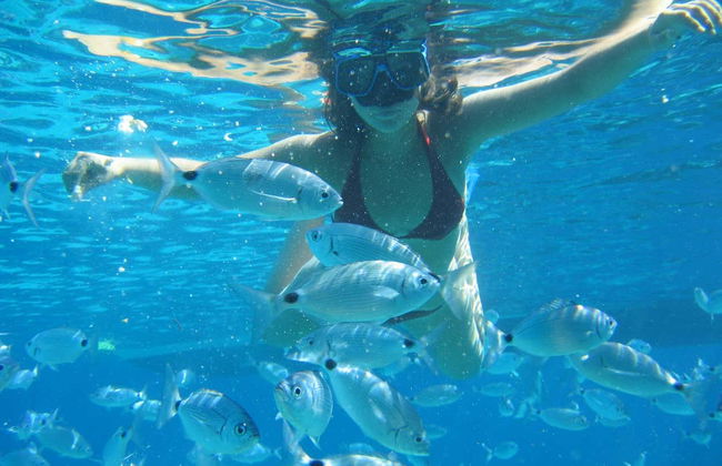 Excursión a la isla de Espalmador - Foto 8