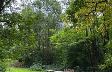 ELYSIA Nature & Spa - Foto 61