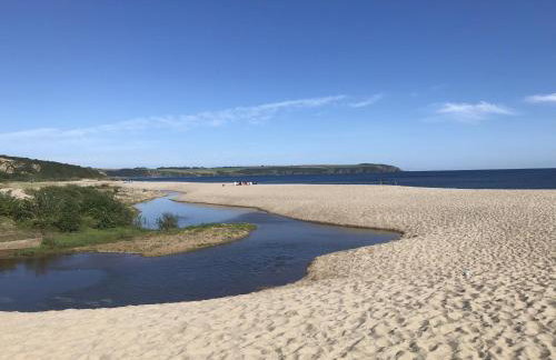Driftwood Seagrass - Photo 36