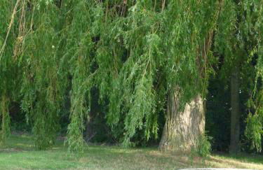 Résidence Cosyade équipée d'un parking privé gratuit - Foto 76