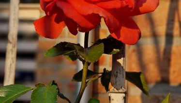 Wohnung Adlerhorst in Eversen-Heide - Foto 4