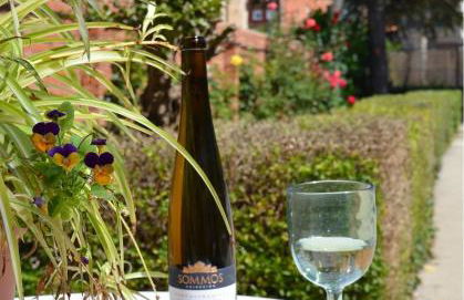 Huertas de la Fuente - Foto 19