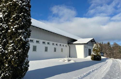 Gut Buchenhof - Photo 1