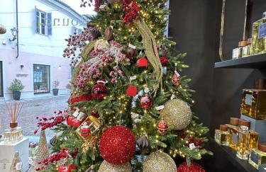 Cozy renovated designer appartment with special price winter 2026 - Foto 14