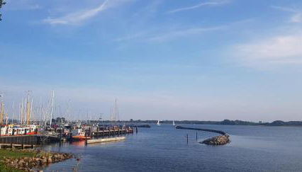 Fischerstern - Foto 2