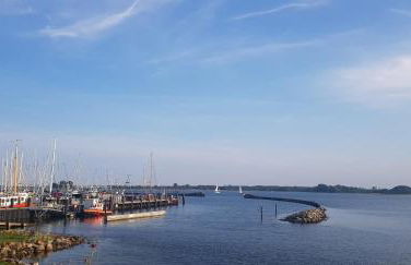 Fischerstern - Foto 2