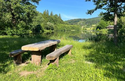 Die Waldstube - Foto 26