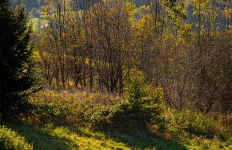 DOMEK NIEBIESKI W BESKIDZIE MAŁYM - Foto 37