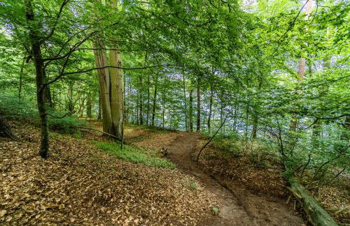 Gulbity Camp - Foto 54