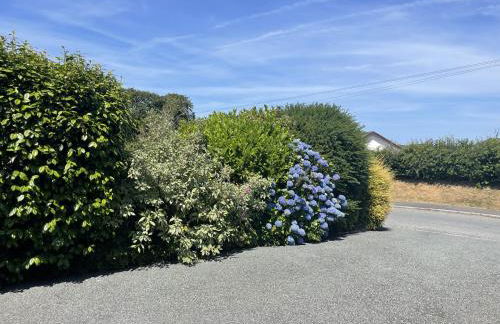 Caerhafod Llangrannog - Photo 9