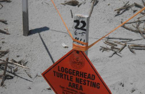 Beach Haven, 600 feet from the Beach !! - Foto 69