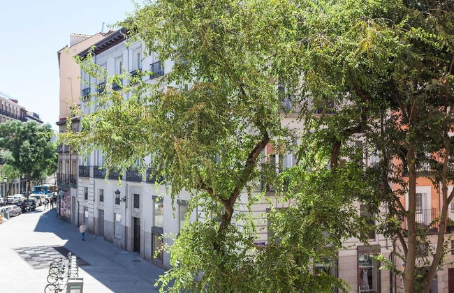 Sunny Urban Apt. Historic District - Sol - Photo 30