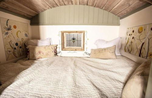 Little Lodge Glamping - Foto 46