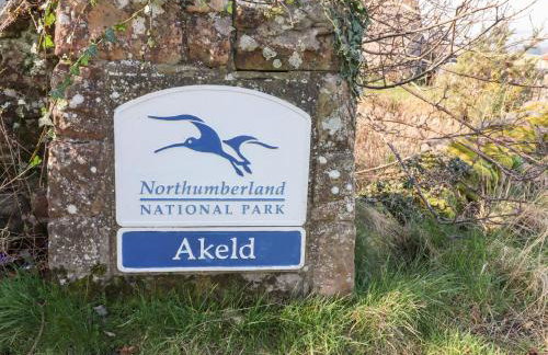 Pansy Plot - Photo 47