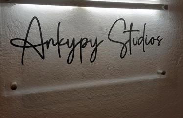 Ankypy Studios - Photo 13