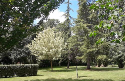 Logis de LANGE studio 2 p - Foto 44