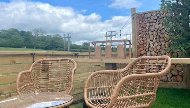 Coedydd - Woods - Foto 5