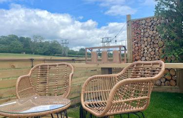 Coedydd - Woods - Foto 5