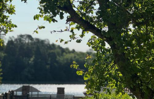 Borowe Apartamenty - Photo 69