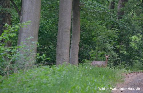 Huis 38 Seepark Kirchheim - Foto 31