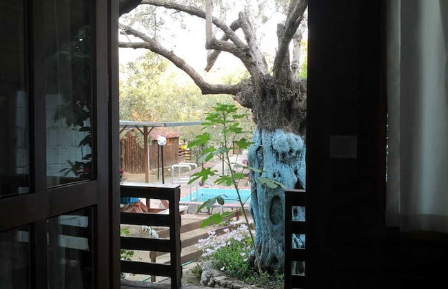 Zeytindagi Bungalow - Foto 11