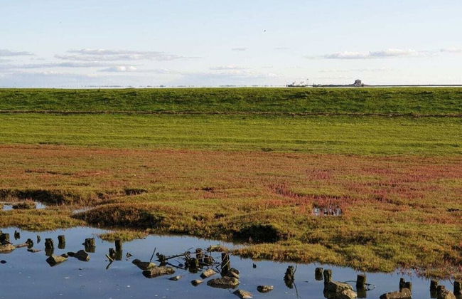 Pellworm Ostersiel 1 - Photo 8