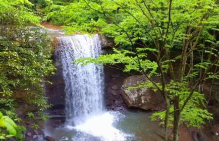 Stay In Ohiopyle - closest place to the GAP trail in Ohiopyle, PA, Hot Tub - Foto 42