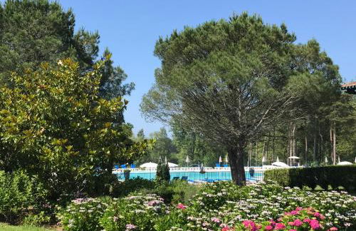 Au coeur de Bordaberry - Foto 12