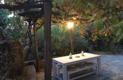 Cortijo La Viñuela - Foto 16