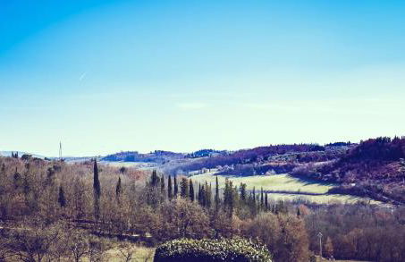 Bio-Agriturismo La Ginestra - Foto 9