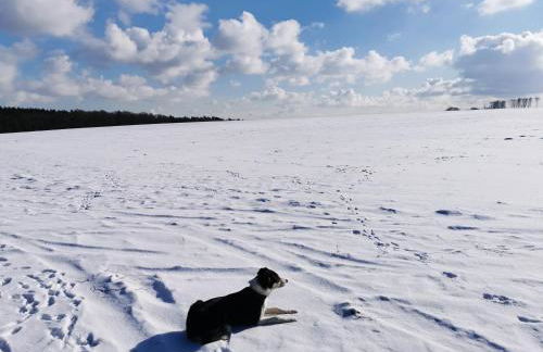 Architektenhaus mit Spielplatz, Sauna & Pool am Wald nahe Hamburg - Foto 49
