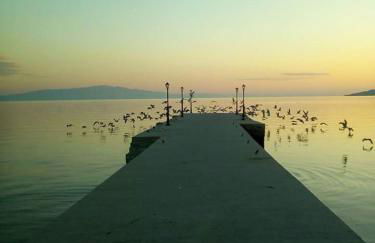 Almira - rooms to let - Foto 33