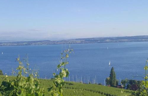 Sonniges Balkonapartment, Ahausen - Foto 26