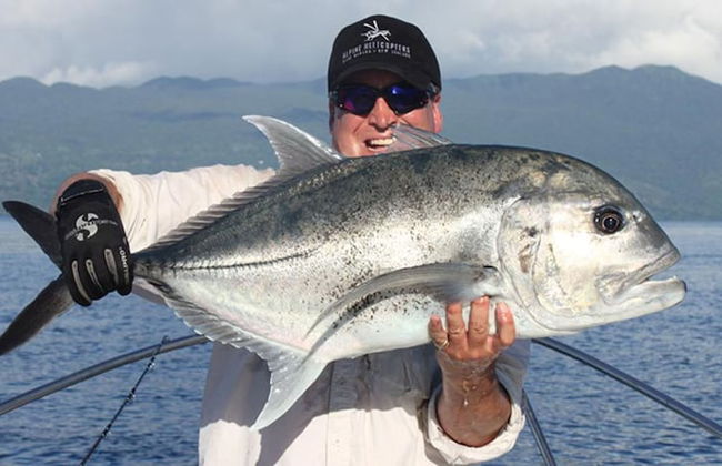 Taveuni Palms - Photo 49