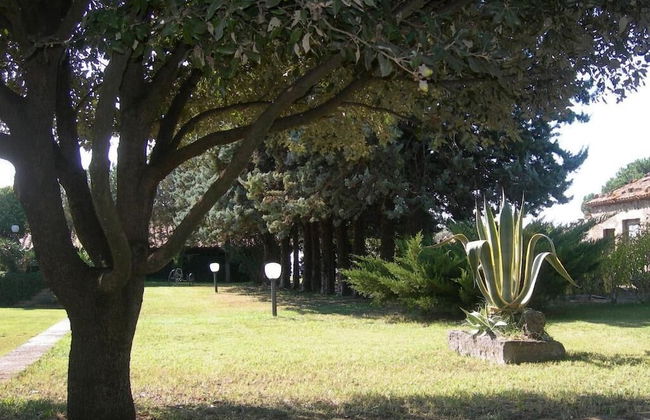 Tenuta Di Pontesodo - Foto 35