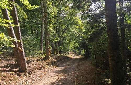 Holiday Home in Limousin near Forest - Foto 29