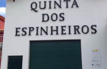 Quinta dos Espinheiros - Photo 106