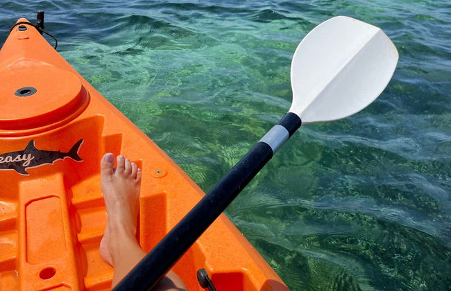 Mongofre Natural Park Kayak Tour - Photo 7