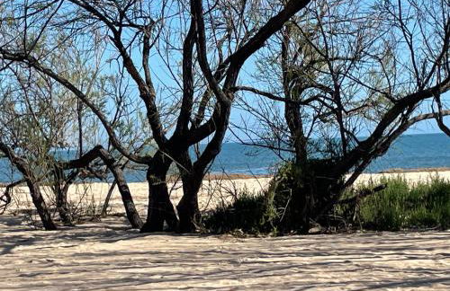 Sweet Home Pia - Foto 2