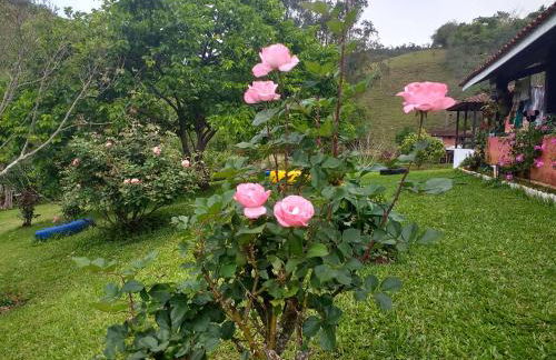 Sítio Recanto do Araçá - Foto 53