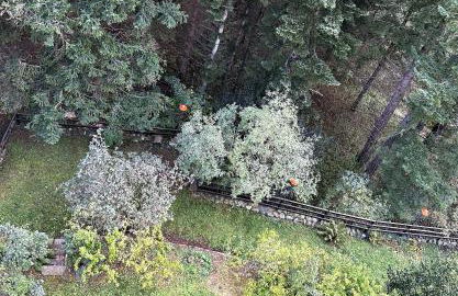 Alloggio in Montagna - Photo 21