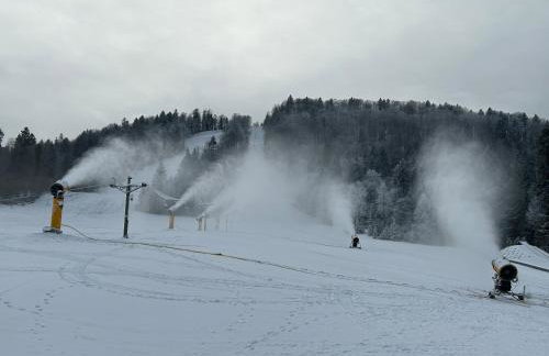 Reset Bieszczady - Foto 17