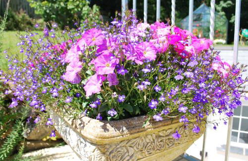 The Lodge, Polgooth - Foto 22