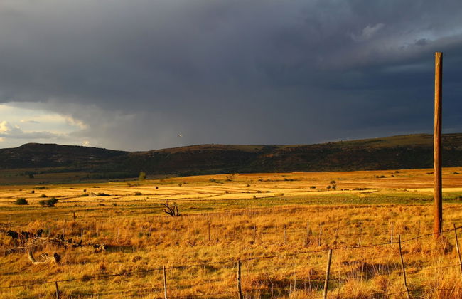 Springwater Cottages - Photo 42