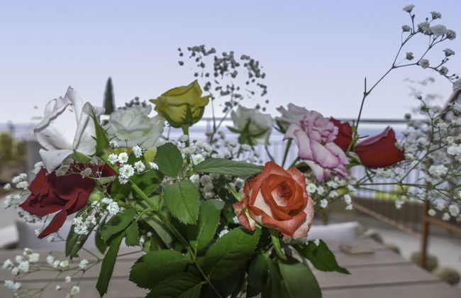 1 bedroom Apartment in Ventimiglia with terrace - Photo 10