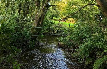 Trelaske Mill Cider Barn-with Hot Tub, Fire Pit BBQ - Foto 32