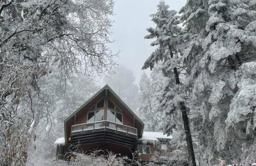 Sweet getaway in private Giant Sequoia Grove! - Foto 1